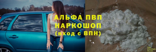 apvp Алзамай
