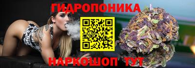 прущие крисы Кандалакша