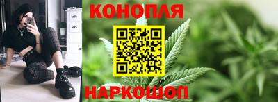 прущие крисы Кандалакша
