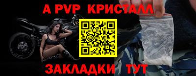 спиды Камышлов