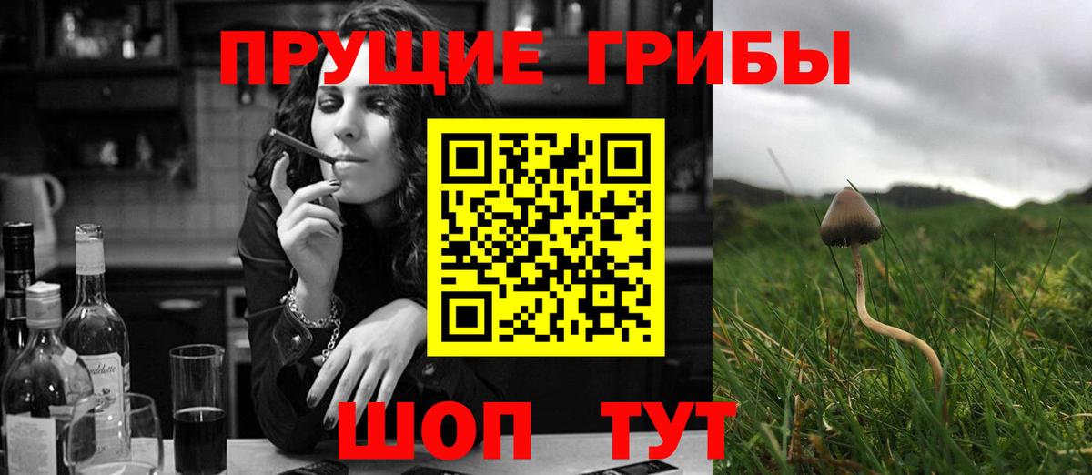 Галлюциногенные грибы прущие грибы Ярославль