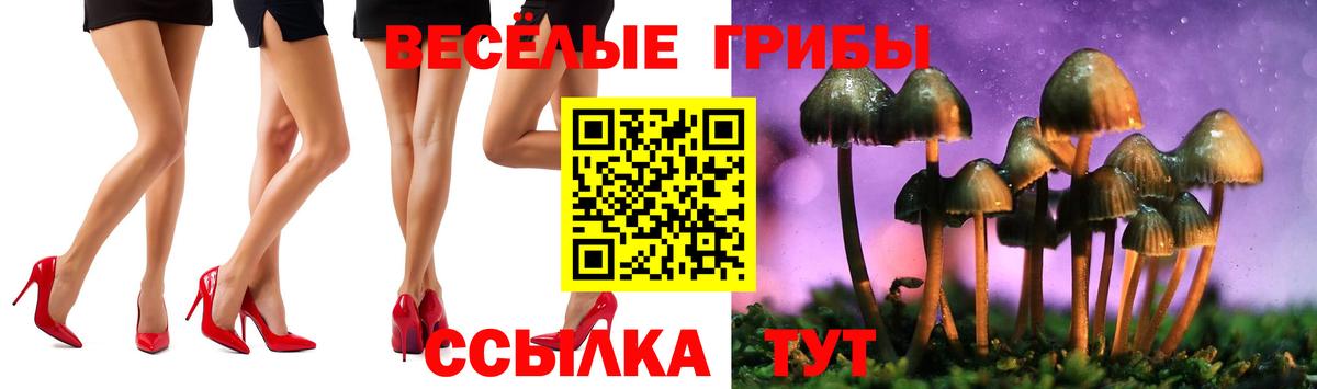 Ярославль  Галлюциногенные грибы мицелий  Вход с VPN  Псилоцибиновые грибы Magic Shrooms 